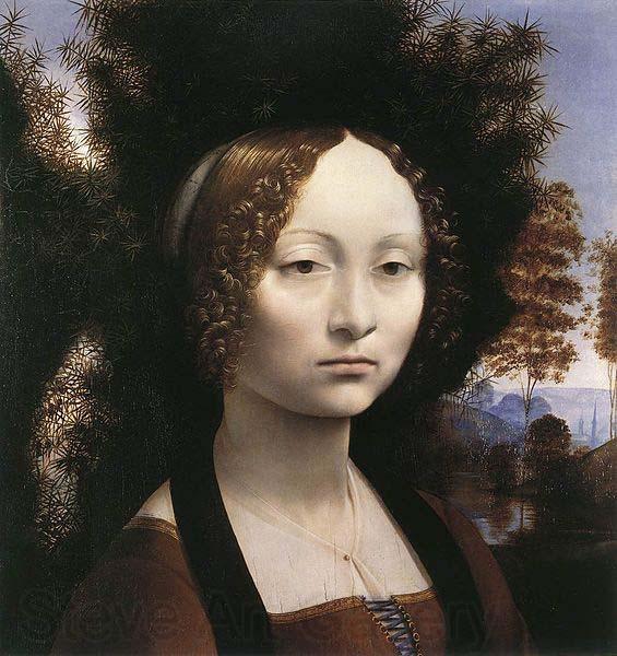 LEONARDO da Vinci Portrait of Ginevra de Benci Norge oil painting art
